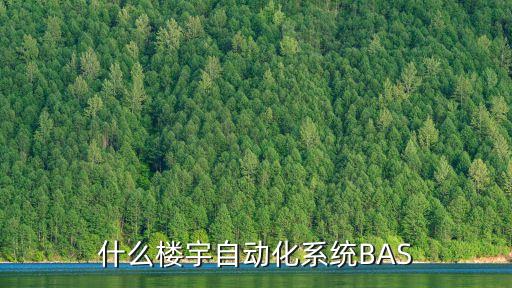 bas系統(tǒng)是什么，解釋BBAS與NBAS的概念