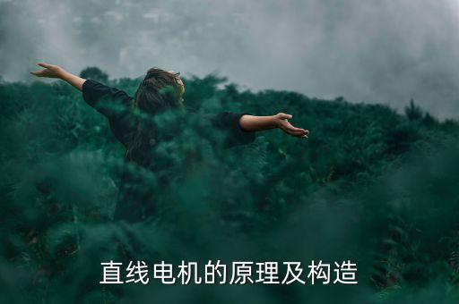 直線電機的原理及構造