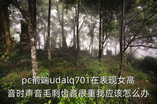 pc前端udalq701在表現(xiàn)女高音時(shí)聲音毛刺齒音很重我應(yīng)該怎么辦