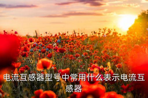 電流互感器符號，電流互感器型號中常用什么表示電流互感器