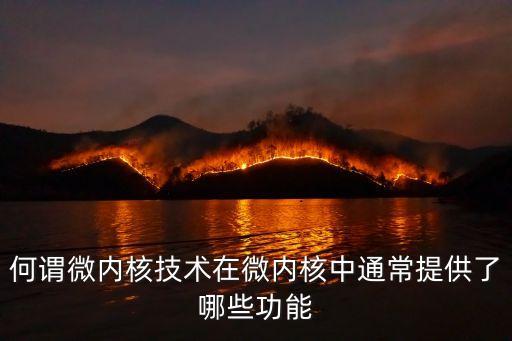 何謂微內(nèi)核技術(shù)在微內(nèi)核中通常提供了哪些功能