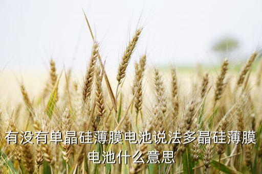有沒(méi)有單晶硅薄膜電池說(shuō)法多晶硅薄膜電池什么意思
