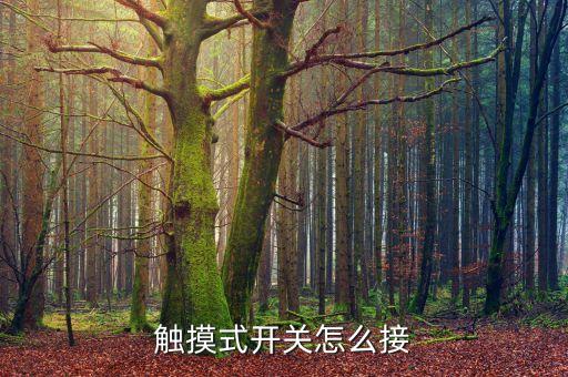 觸摸開關(guān)怎么接線，觸摸式開關(guān)怎么接