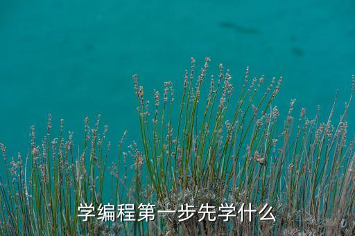學(xué)編程第一步先學(xué)什么