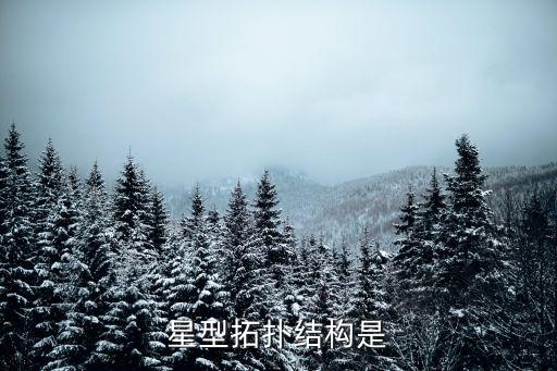 星型拓撲結(jié)構(gòu)是