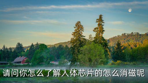 請問你怎么了解人體芯片的怎么消磁呢