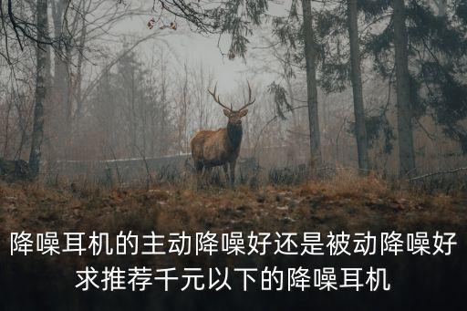 降噪耳機(jī)的主動(dòng)降噪好還是被動(dòng)降噪好求推薦千元以下的降噪耳機(jī)