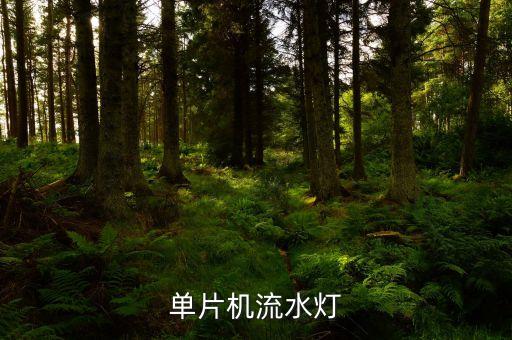 單片機(jī)流水燈