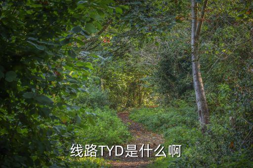tyd，線路TYD是什么啊