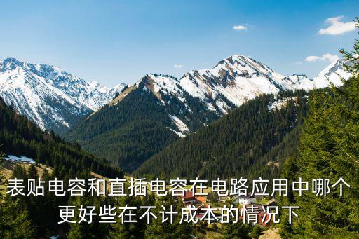 表貼電容和直插電容在電路應(yīng)用中哪個更好些在不計成本的情況下