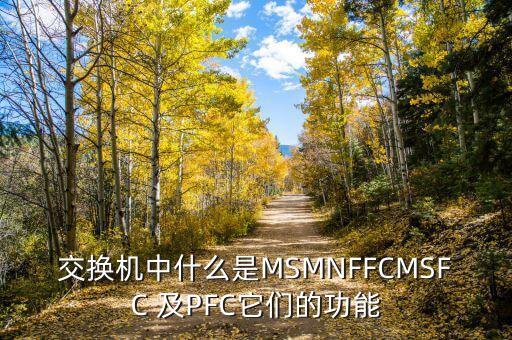 交換機(jī)中什么是MSMNFFCMSFC 及PFC它們的功能