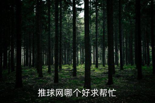 微球網(wǎng)，波球網(wǎng)好不好呢