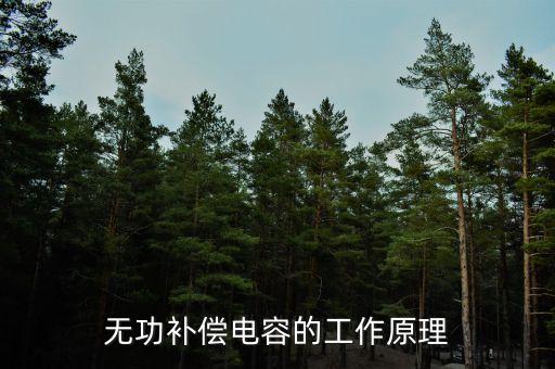 無(wú)功補(bǔ)償電容的工作原理
