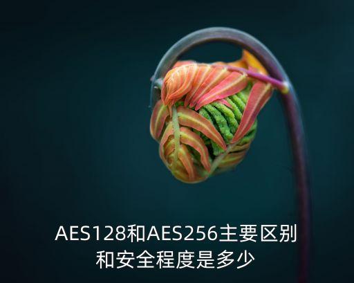 AES128和AES256主要區(qū)別和安全程度是多少