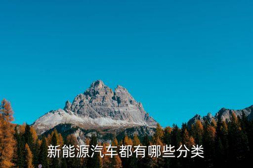 新能源汽車都有哪些分類