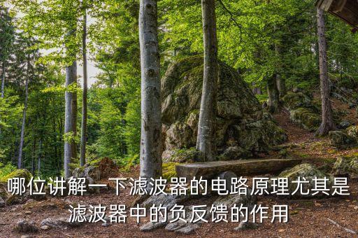 濾波器原理，哪位講解一下濾波器的電路原理尤其是濾波器中的負(fù)反饋的作用