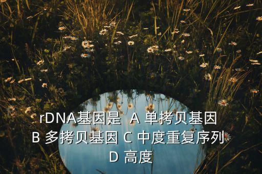 rDNA基因是  A 單拷貝基因 B 多拷貝基因 C 中度重復(fù)序列 D 高度