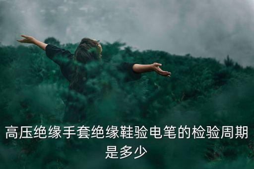 高壓絕緣手套絕緣鞋驗電筆的檢驗周期是多少