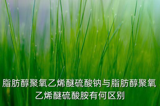 脂肪醇聚氧乙烯醚硫酸鈉與脂肪醇聚氧乙烯醚硫酸胺有何區(qū)別