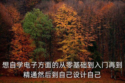 想自學(xué)電子方面的從零基礎(chǔ)到入門再到精通然后到自己設(shè)計自己