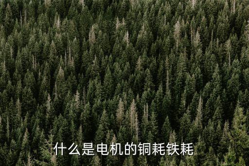什么是電機(jī)的銅耗鐵耗