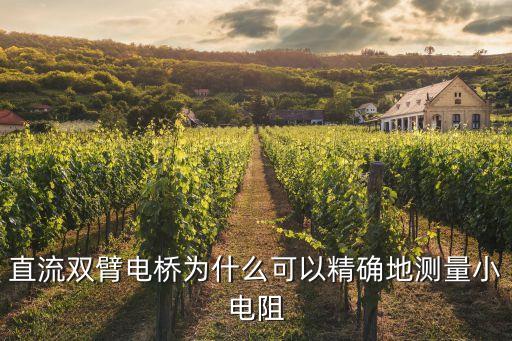 直流雙臂電橋?yàn)槭裁纯梢跃_地測量小電阻