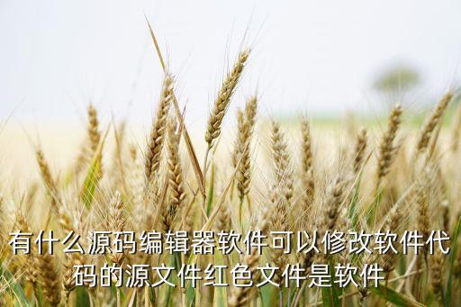 源碼編程器，JAVA編程Java源代碼編輯器