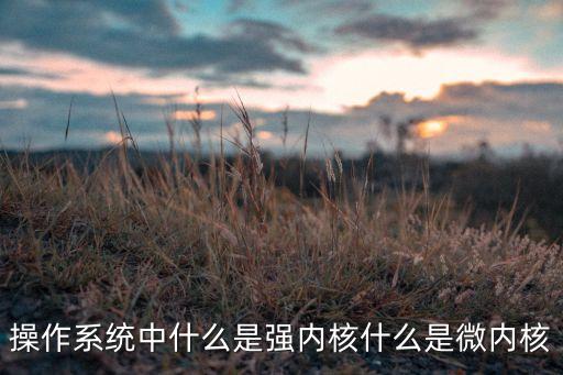 操作系統(tǒng)中什么是強內(nèi)核什么是微內(nèi)核