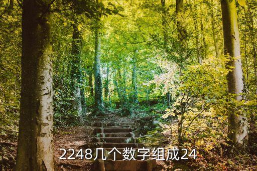 2248幾個數(shù)字組成24
