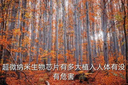 超微納米生物芯片有多大植入人體有沒有危害