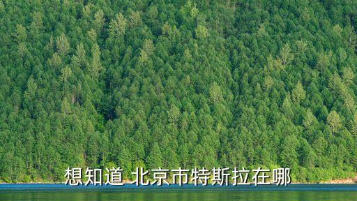 想知道 北京市特斯拉在哪