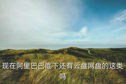 現(xiàn)在阿里巴巴底下還有云盤網(wǎng)盤的這類嗎