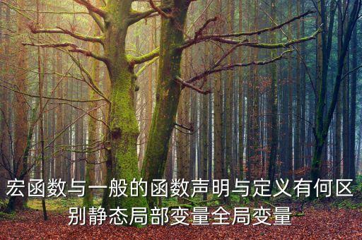 宏函數(shù)與一般的函數(shù)聲明與定義有何區(qū)別靜態(tài)局部變量全局變量