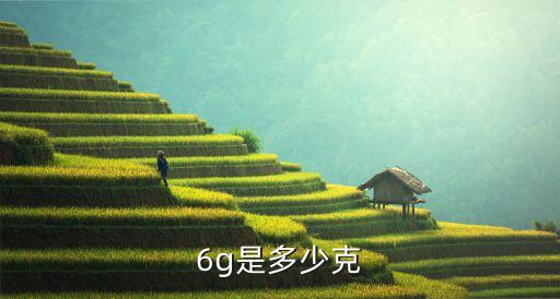 6g是多少克