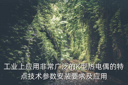 工業(yè)上應(yīng)用非常廣泛的K型熱電偶的特點技術(shù)參數(shù)安裝要求及應(yīng)用