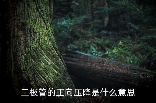 二極管正向壓降，二極管的正向壓降是什么意思