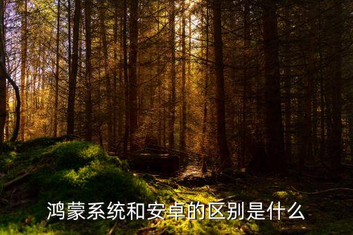 鴻蒙系統(tǒng)和安卓的區(qū)別是什么