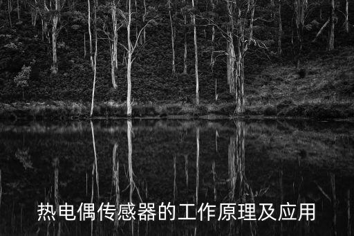 熱電偶傳感器的工作原理及應用