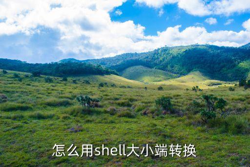 怎么用shell大小端轉換