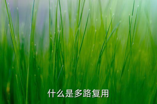 多路復用，什么叫 io多路復用