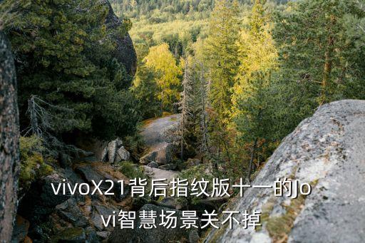 智慧場(chǎng)景，vivoy75智慧場(chǎng)景關(guān)閉了怎么打開(kāi)