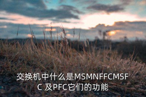 交換機(jī)中什么是MSMNFFCMSFC 及PFC它們的功能