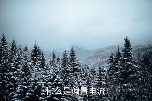 什么是偏置電流
