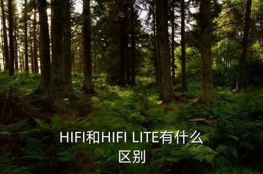 HIFI和HIFI LITE有什么區(qū)別