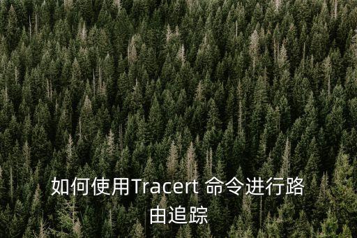 如何使用Tracert 命令進(jìn)行路由追蹤