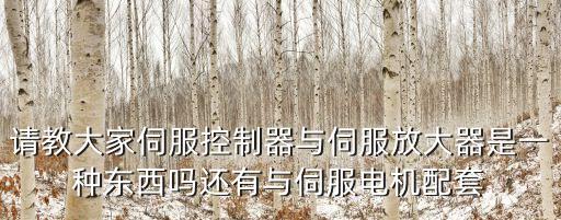 請教大家伺服控制器與伺服放大器是一種東西嗎還有與伺服電機配套