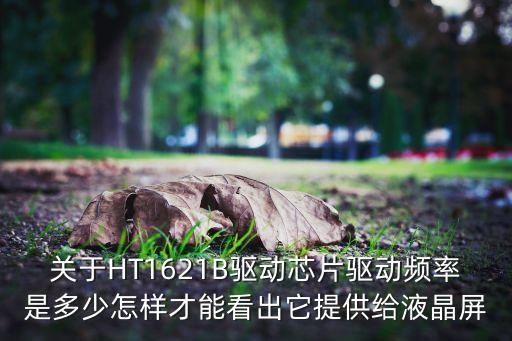HT1621B，HT1621B如何設置能與33v的單片機通訊嗎