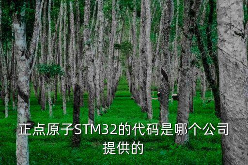 正點(diǎn)原子，正點(diǎn)原子STM32的代碼是哪個(gè)公司提供的