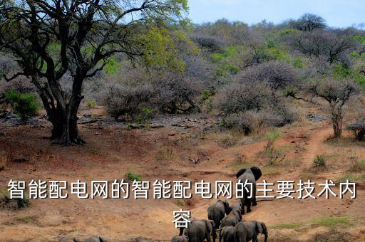 智能配電網(wǎng)的智能配電網(wǎng)的主要技術內(nèi)容