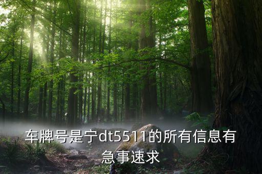 車(chē)牌號(hào)是寧dt5511的所有信息有急事速求